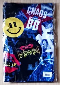 The Brow Beat クリアファイル 佐藤流司 CD ラババン シュシュ The Brow Beat クリアファイル 佐藤流司 CD ラババン シュシュ - メルカリ