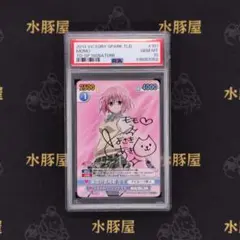 ヴィクトリースパーク ToLOVEるダークネス 未開封box ヴィクトリースパーク ToLOVEるダークネス 未開封box