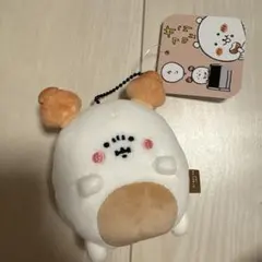 2025年最新】パン君 ぬいぐるみの人気アイテム - メルカリ