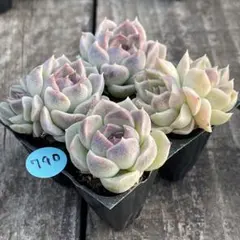 RURU様 リクエスト 3点 まとめ商品