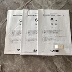 2026年最新】サピックスオープンの人気アイテム - メルカリ