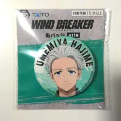 WIND BREAKER ウィンドブレーカー 缶バッジ　梅宮一