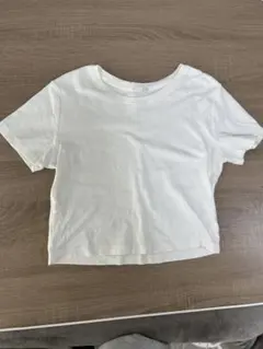 GU クロップドTシャツ 半袖 Fサイズ 数回着用 目立つ汚れなし
