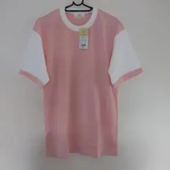 Item thumbnail for item e2d29104-10f1-4b97-beb4-ffcf1d6712a7