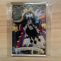 ワンピース ステータスカードコレクション 黒ひげ