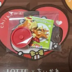 ポケモン チョコエッグ 旅立ちの3匹 ヒコザル