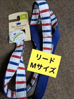 Item thumbnail for item bc4e80f2-3c00-4137-a896-06d48e950456