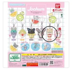 JO1 JOCHUM めじるしアクセサリー2＜まめちぃ＞