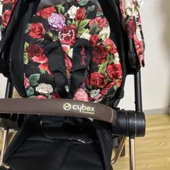 極美品 海外セレブ愛用 姫ベビーカー プリンセス 本体のみ - メルカリ