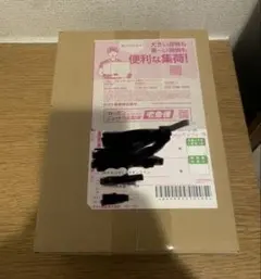 メガドリームex ポケセン産　初版　エラー