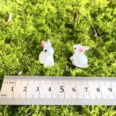 우사기 ミニフィギア テラリウム 装飾 2個