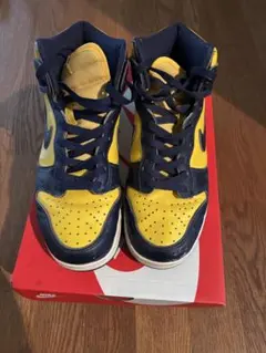 NIKE Dunk High Michiganのサムネイル