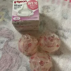 Item thumbnail for item 8392d38f-f983-453c-8c29-ae8cda9279c8