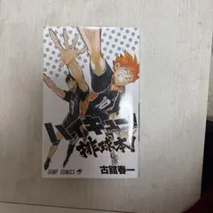 ハイキュー!! 排球本! コンプリートガイドブック