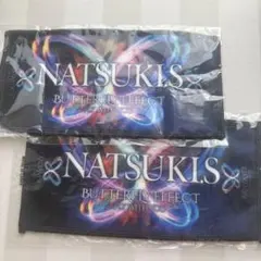 Item thumbnail for item d3e00216-6b91-412c-95ff-2ea59ab6baba