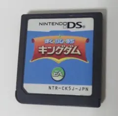 ぼくとシムのまち キングダム (Nintendo DS)