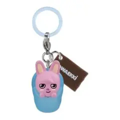 SKZOO めじるしアクセサリー ソロキャンプ ✿ DWAEKKI