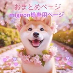 mignon様専用ページ