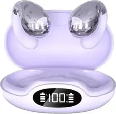 ワイヤレスイヤホン Bluetooth 5.4 オープンイヤー型 PSE