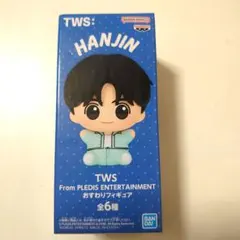 TWS 투아스 시팅 피규어 한진