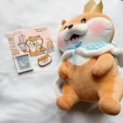 【今だけ】可愛い嘘のカワウソ　誕生日だぬ！BIGぬいぐるみ　マグネット