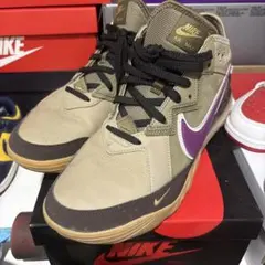 NIKE 레브론 18 아토모스 한정