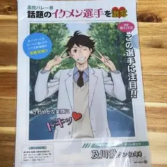 ハイキュー 及川徹 クリアファイル