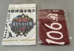 千葉ロッテマリーンズ 八木 彬投手 第87回選抜高校野球大会出場記念