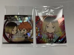 ハイキューシールウエハース 孤爪研磨 日向翔陽 排球レア 極