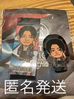 千社札 武知海青