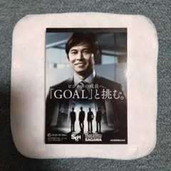 【非売品】佐川急便 江の島の誓い 激レア 非売品】佐川急便 江の島の誓い 激レア