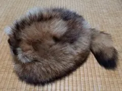 毛皮　狸　帽子