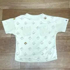 Item thumbnail for item 305a9ae7-40f4-44c9-8394-e1110d7b4a57