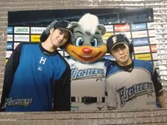 大谷翔平 2015 ハイライトフォト No.166 日本ハム 球団公式写真