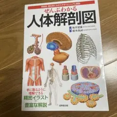 ぜんぶわかる人体解剖図