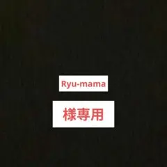 泥　一刀両断　泥汚れ　洗濯洗剤　 新品未開封　2kg×2