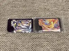 ポケモン　フレンダ　ファイヤーとソルガレオの2枚セット