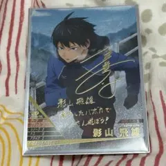 ハイキュー バボカ 日向翔陽 影山飛雄 サイン入り HV-04-051 - メルカリ