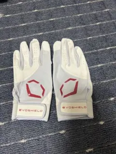 Item thumbnail for item 9dde99e1-c8b9-4716-8f45-30b50af300bc