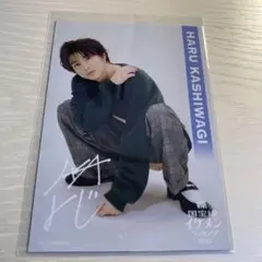 柏木悠 ViVi 国宝級イケメンランキング2023