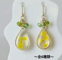 現品限り ミモザのドロップ ピアス（イヤリング可）