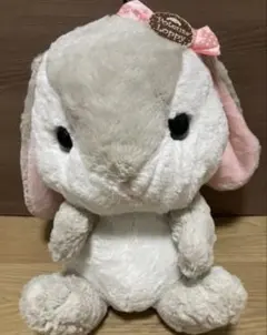 豆芽兔 蘿蔔