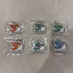 ポケモン30周年メタルチャームマスコット　6点セット