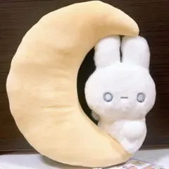 Item thumbnail for item 8f3aaf26-0844-42a8-982d-9b5e626fe163