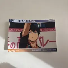 ハイキュー ゴミ捨て場の決戦展 スナップカード 影山飛雄