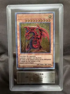 オシリスの天空竜　ステンレス　ARS10