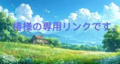 椿様の専用リンクです。