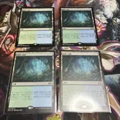 MTG】霧深い雨林 日本語版 4枚 - メルカリ