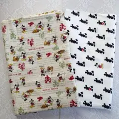 Item thumbnail for item 297a7331-acfb-46a4-b50a-8d7ad742d31e