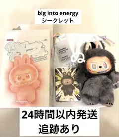 POPMART ラブブ エナジー シークレット♡ 正規品】ラブブ big into energy エナジー シークレット 黒